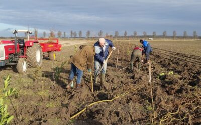We kunnen inmiddels meer filmpjes laten zien
