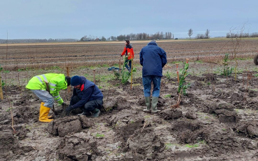 Succesvolle eerste plantdagen