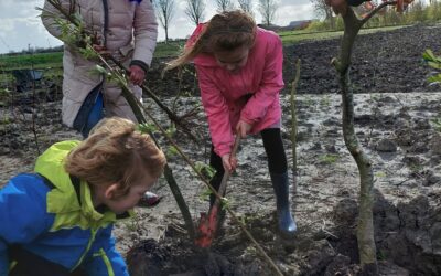 Het was een mooie dag