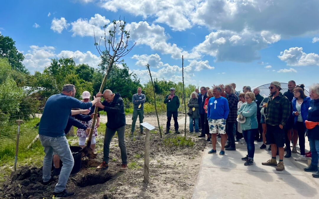 Eerste Kloetse Velddag