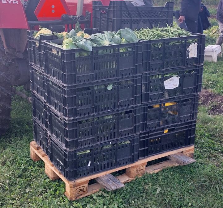 Overvloed, ook voor nieuwe leden