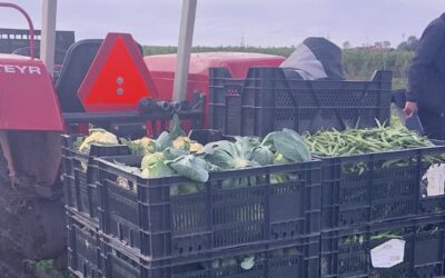 Overvloed, ook voor nieuwe leden