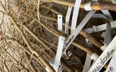 Kloetse Velden uitgiftepunt boompjes