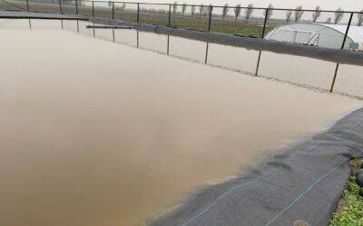 Ons succesvolle drainagesysteem