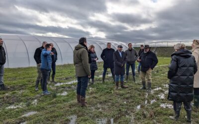 College B en W bezoekt Kloetse Velden