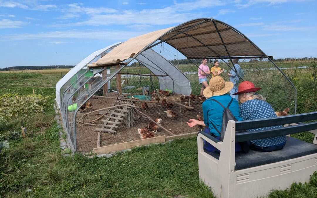 Pluk de Dag op Kloetse Velden