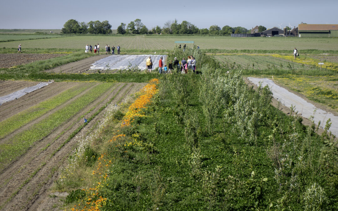 Een mooie open veldendag