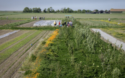 Een mooie open veldendag