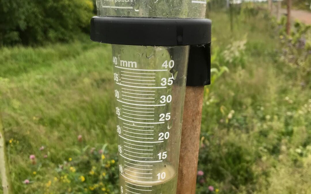 Wat regen al niet doet!