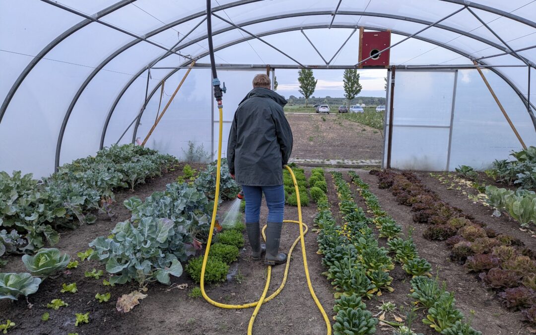 Ons sproeisysteem in de kassen
