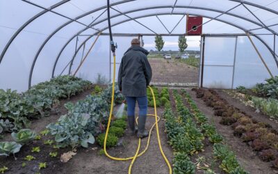 Ons sproeisysteem in de kassen